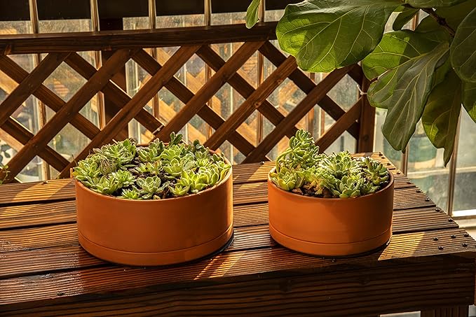 D'vine Dev 12 Inch Succulent Terracotta Shallow Pot with Drainage Hole and Saucer, Round Cylinder Planter Pot for Plant Flower, 40-Y-C-0