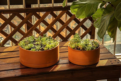 D'vine Dev 12 Inch Succulent Terracotta Shallow Pot with Drainage Hole and Saucer, Round Cylinder Planter Pot for Plant Flower, 40-Y-C-0