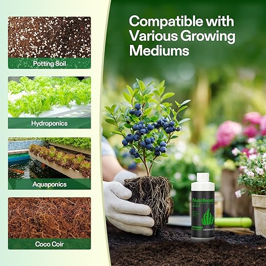 VIVOSUN Seaweed and Kelp Fertilizer, Concentrated Plant Additive NutriBoost (0-0-1), All-Purpose Liquid Food for All Growing Stages, for Trees, Vegetables, Flowers, Fruits, Lawn, Plants, 8 Ounces