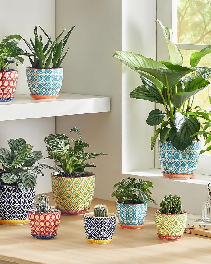 Succulent Ceramic Pots, 3.8 Inch Small Plant Pots with Drainage Hole & Saucer, Flower Planter Pot for Houseplants, Cacti, Home Decor, Set of 4, Vibrant Colors