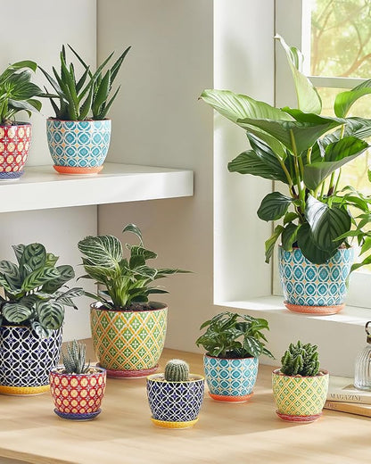 Succulent Ceramic Pots, 3.8 Inch Small Plant Pots with Drainage Hole & Saucer, Flower Planter Pot for Houseplants, Cacti, Home Decor, Set of 4, Vibrant Colors