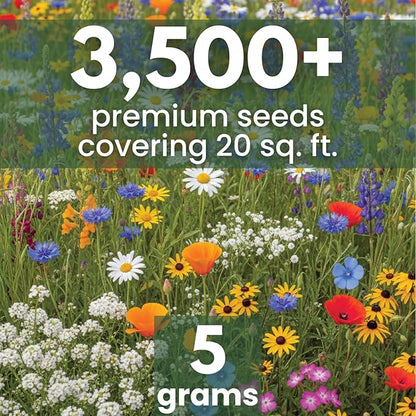 California Regional Mix – 3,500 Seeds for Planting – 2026 Season – 5 Gram Pouch