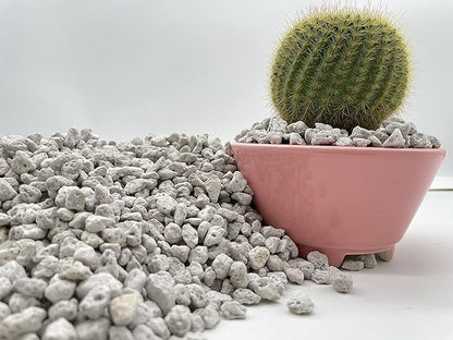Pumice for Bonsai, Succulent, Cactus, Alocasia, Monstera, and Tropical Aroids | 2 Quarts Bag | 1/4” Particle Size | The Bonsai Supply