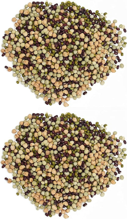 1 Pound Protein Bean Sprout Starter Seeds - 16 Servings per Bag - Organic NON-GMO - Includes Garbanzo, Adzuki, Mung, and Green Pea