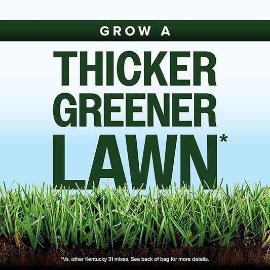 Scotts Kentucky 31 Grass Seed Mix for New Lawns or Overseeding - Lawn Grass Seed That Grows Thicker and Greener vs. Other Kentucky 31 Mixes, Covers up to 5,000 sq. ft.