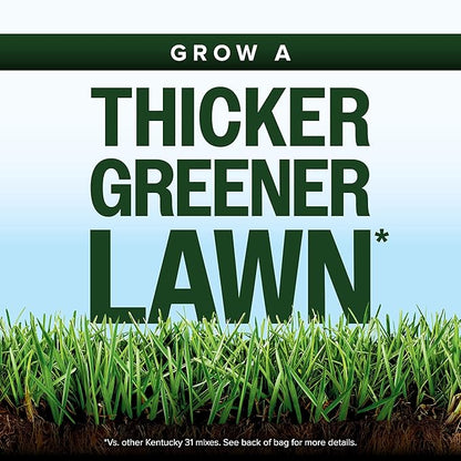 Scotts Kentucky 31 Grass Seed Mix for New Lawns or Overseeding, Grows Thicker and Greener vs. Other Kentucky 31 Mixes, Covers up to 1,750 sq. ft.