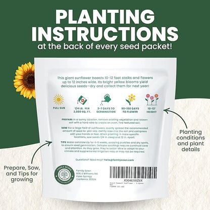 Black Mammoth Sunflower - Large 1 Ounce Packet - 250 Flower Seeds for Planting - Helianthus annuus