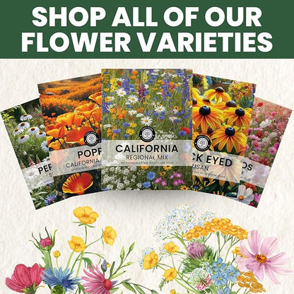 California Regional Mix – 3,500 Seeds for Planting – 2026 Season – 5 Gram Pouch