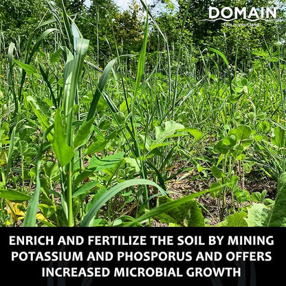 Domain Outdoor Overhaul Deer Food Plot Seed, Spring Triticale, Crimson Clover, Balansa Clover, Buckwheat, Tillage Radish, Great to Plant in Spring, Designed to Improve Soil and Attract Deer, 1/4 Acre