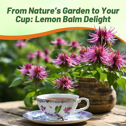 Outsidepride Lemon Bee Balm Seeds - 1 lb. Annual, Easy to Grow & Pollinator Friendly Monarda Citriodora Flower Seeds for Planting Fragrant Lavender Pink Blooms, Ideal for Teas & Potpourri