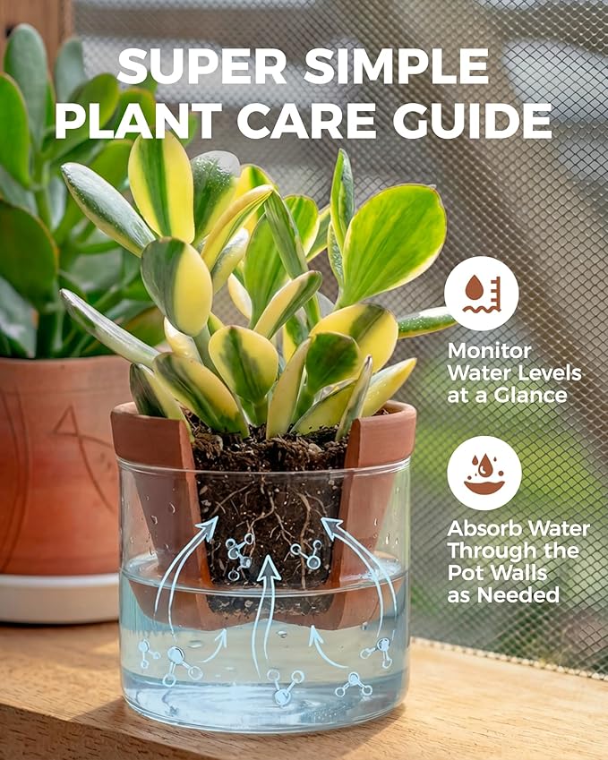 Bamworld Self Watering Pots for Indoor Plants Terracotta Pots Terracotta Planter with Cylinder Glass Cup Clay Flower Pots Ceramic Orchid Pots Modern Office Home Decor 6 Inch