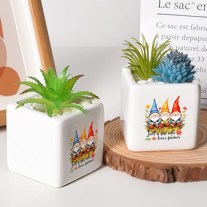 Gnomes Succulent Planter Flower Plant Pot Small, Gifts for Women Teens Girls Kids, Gnomes Lovers Themed Stuff Accessories Things Decor Merch, Home Office Table Desk Decoration!