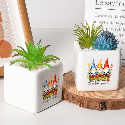 Gnomes Succulent Planter Flower Plant Pot Small, Gifts for Women Teens Girls Kids, Gnomes Lovers Themed Stuff Accessories Things Decor Merch, Home Office Table Desk Decoration!