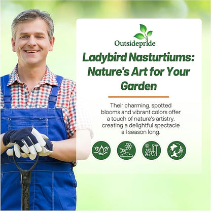 Outsidepride Tom Thumb Ladybird Nasturtium Seeds - 200 Pcs Annual, Easy to Grow & Versatile, Flower Seeds for Planting Vibrant Blooms, Ideal for Gardens, Borders, and Pollinator Gardens
