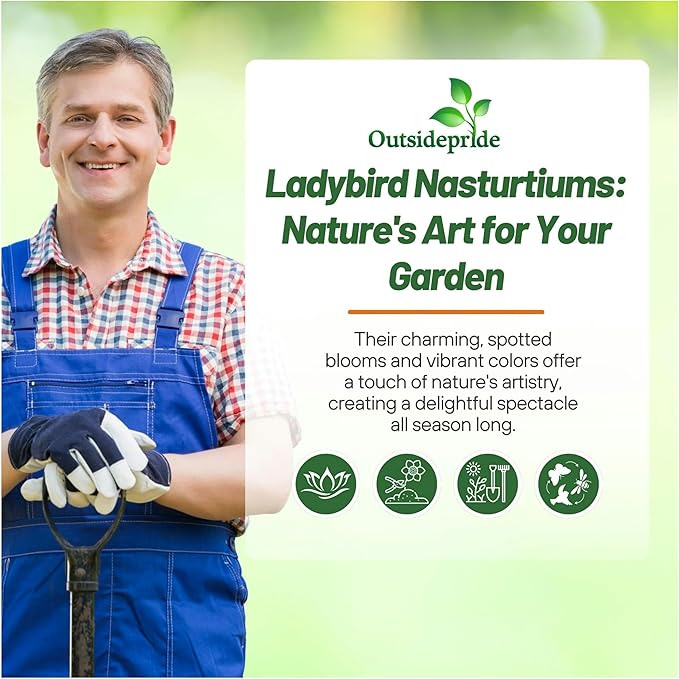 Outsidepride Tom Thumb Ladybird Nasturtium Seeds - 400 Pcs Annual, Easy to Grow & Versatile, Flower Seeds for Planting Vibrant Blooms, Ideal for Gardens, Borders, and Pollinator Gardens