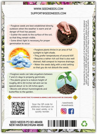 Seed Needs, Mixed Gloxiniaeflora Foxglove Seeds for Planting - Heirloom & Open Pollinated Biennial Flowers - Perfect for Butterfly Gardens & Insectaries (5 Packs)