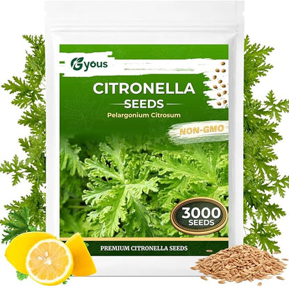 Citronella Seeds (3,000+ Seeds) – Easy-Grow Herb Plant for Pots & Garden Beds, Fresh Aromatic Leaves for Outdoor Patio Planters