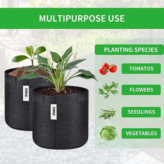 iPower 5-Pack 3-Gallon Grow Bags Fabric Pots Non-Woven Plant Container with Handles Self-Adhesion Sides for Easy Transplanting Tomato, Vegetable, Flower, 3 Gallon, in Nursery Garden
