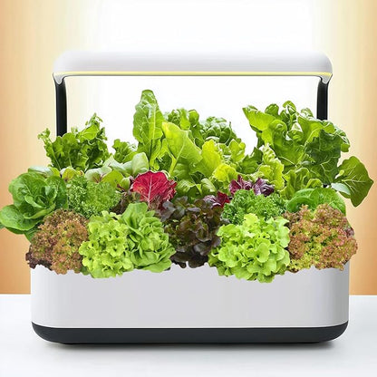 20,000+ Lettuce Seeds, Heirloom Winter Vegetable Seed for Planting Indoor Outdoor, 10 Varieties of Fresh Salad Greens for Hydroponics Kit, Easy to Grow for Garden Beginners, Non-GMO