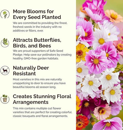 Eden Brothers Cosmic Zen Flower Mixed Seeds for Planting, 1/4 lb, 120,000+ Seeds with Zinnia Dahlia Flowered, Cosmos Sensation | Attracts Pollinators, Plant in Spring, Zones 3, 4, 5, 6, 7, 8, 9, 10