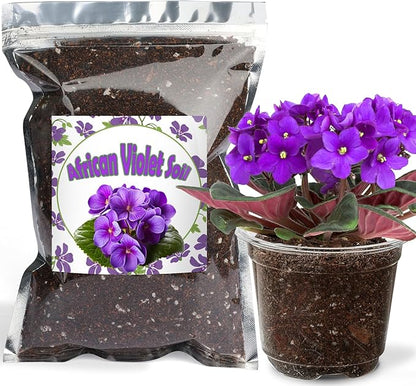 Organic African Violet Potting Mix, Indoor Plants Potting Mix for All Potted Saintpaulia, Grow Healthy houseplants Indoors