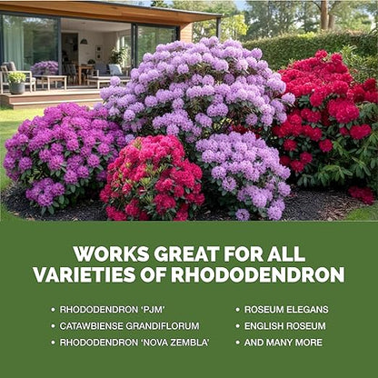 Rhododendron Fertilizer – Liquid Rhododendron Plant Food for Healthy Growth & Vibrant Blooms, 32 oz