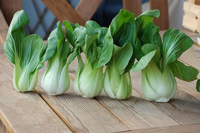 Seeds Chinese Cabbage Bok Choy - Heirloom Vegetable - GMO Free