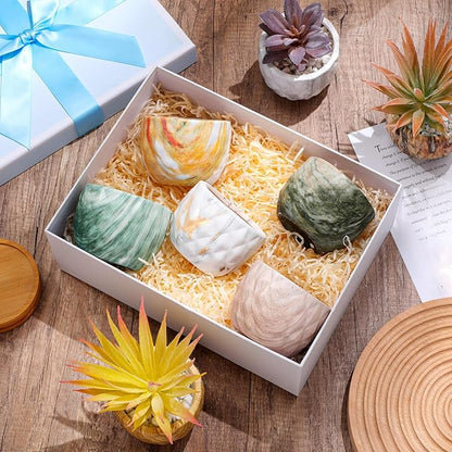 Marbling Ceramic Flower Pot 3.35 Inch Succulent Small Plant Cactus Herbs Planter Ceramic Pot with Drainage Hole Matte Round Container(12 Pcs,Simple Style)