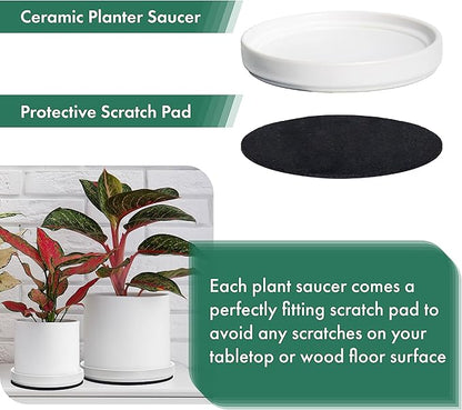 D'vine Dev Modern Round 8.7 Inch Ceramic Plant Pot Saucer, Planter Pot Drainage Tray for Indoor Plants, Matte White, 97-T-A-4