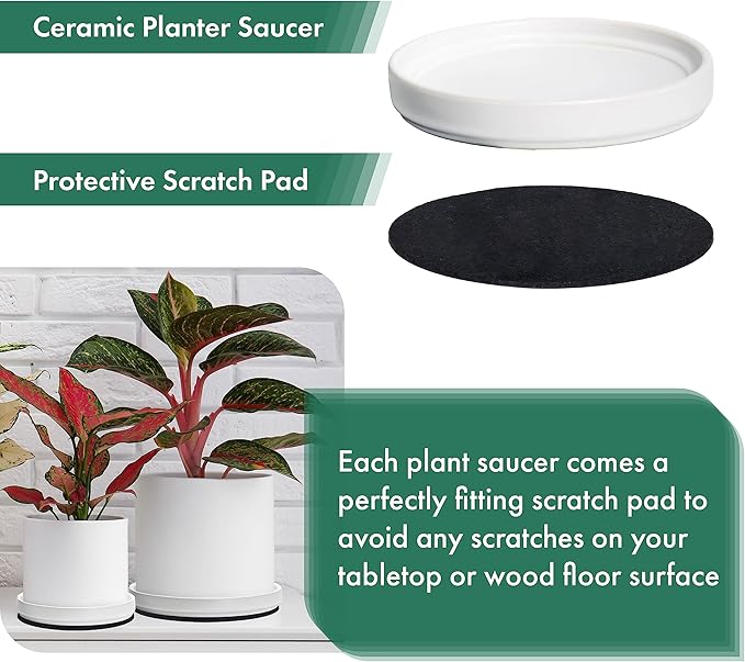 D'vine Dev Modern Round 3.7 Inch Ceramic Plant Pot Saucer, Planter Pot Drainage Tray for Indoor Plants, Matte White, 97-T-A-1