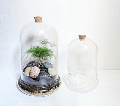 Handblown 10" Glass Terrarium with Opening for Air Flow & Cork Stopper Cloche Style Glass Dome Vivarium Display Case (Large)