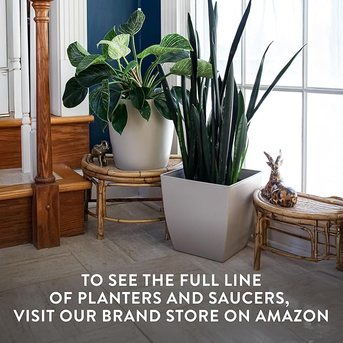 The HC Companies 8 Inch Aria Square Self Watering Planter - Plastic Plant Pot for Indoor Outdoor Plants Flowers Herbs, Glossy White