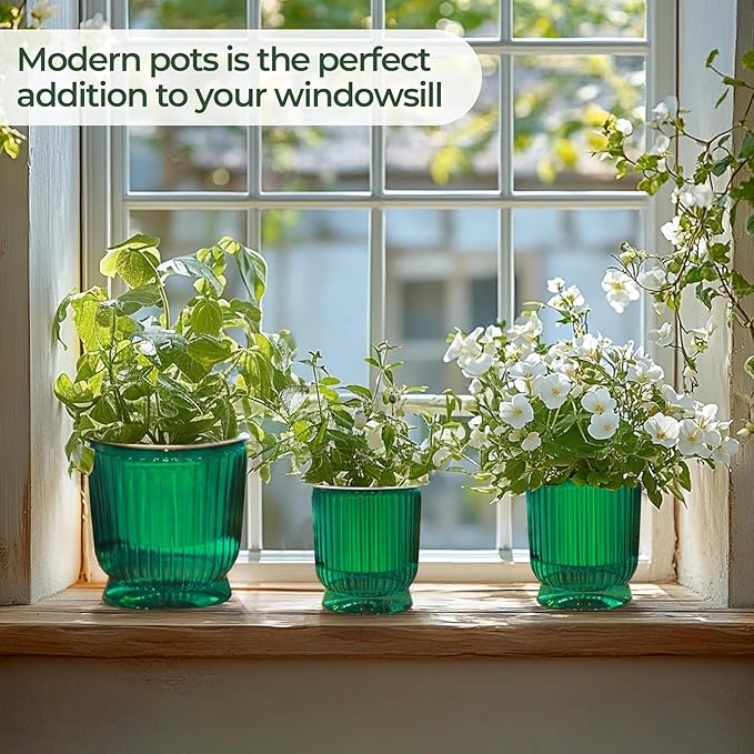 T4U 6 Inch Self Watering Pots for Indoor Plants, 4 Pack Self Watering Planter, Self Watering Pot with Reservoir, Small Self Watering Pots for Plants, African Violets (4 Pack, 6", Translucent Green)