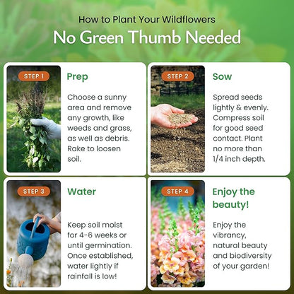Created By Nature Hummingbird & Butterfly Wildflower Seed Mix, 18 Varieties, 60,000 Wildflower Seeds