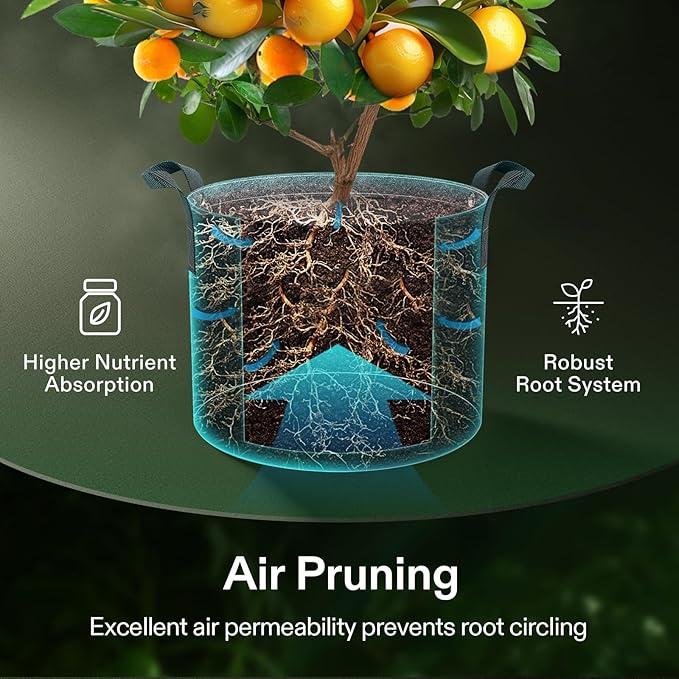 VIVOSUN 10-Pack 5 Gallon Grow Bags, 500G Thick Nonwoven Fabric Pots with Strap Handles, Multi-Purpose Rings, for Low Stress Plant Training Fruits, Vegetables, and Flowers