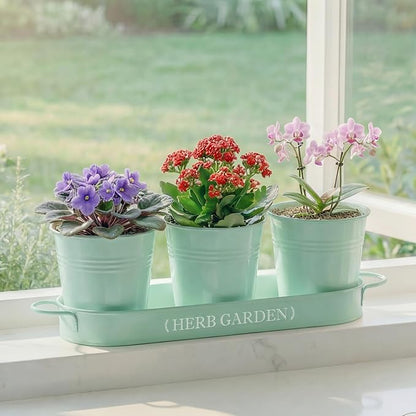 PERFNIQUE Indoor Herb Garden, Herb Planter for Indoor/Outdoor, Farmhouse Plant Pots, Windowsill Herb Garden with Tray(Planter only) Window Pots