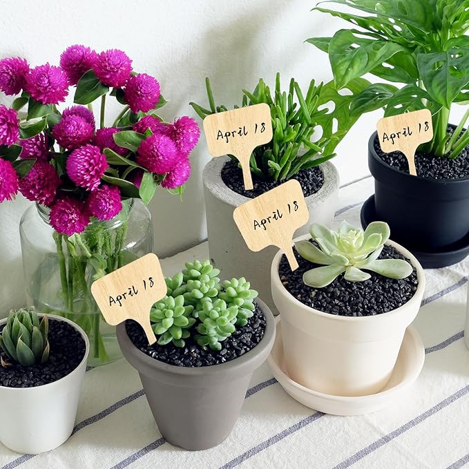 Whaline 60Pcs Wooden Plant Labels with Marker Pen T-Type Wood Plant Sign Tags Decorative Garden Markers for Seed Potted Herbs Flowers Vegetables, 2.36 x 4 Inch