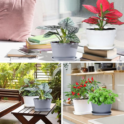 Herb Planter Pots 6 Pcs, Window Box Planter Flower Plants Pots for Succulent Cactus Flower with Trays, for Home Garden Kitchen Decor (White)