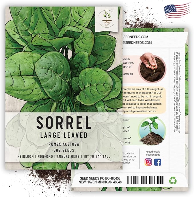 Seed Needs Large Leaf Sorrel Seeds for Planting - Heirloom Non-GMO & Untreated Medicinal or Culinary Herb - Grow a Home Grown Outdoor Garden (2 Packs)