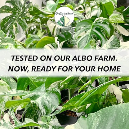 Premium Concentrated Liquid Fertilizer - Makes 40gal - Leaf LUX by Pretty in Green - All Plants All Media LECA, Soil - Indoor Plants