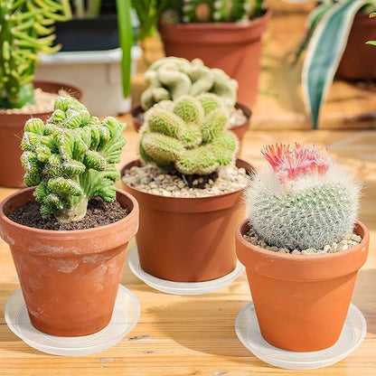 Augshy 18 Pack Plant Suacer 4/6/8/10 Inch Plant Drip Trays for Pots Clear Plant Pot Trays Water-Repellent Plant Saucers for Gardens Balconies and Indoors
