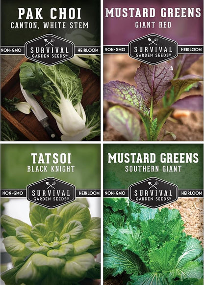 Mustard Green Seeds for Planting - 4 Variety Pack of Heirloom Greens | Tatsoi, Southern Giant, Giant Red, Pak Choi Mustard & Asian Greens Seed - Survival Garden Seeds