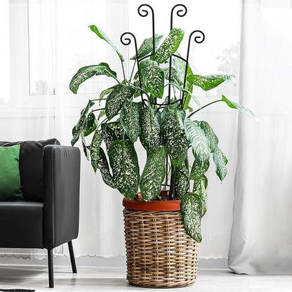 32.6in Plant Trellis for Climbing Plants Indoor, Expandable Large Metal Trellis for Potted Plants, Heavy-Duty Tall Pothos Plant Climber Support for Ivy Pothos Hoya Monstera, 4P