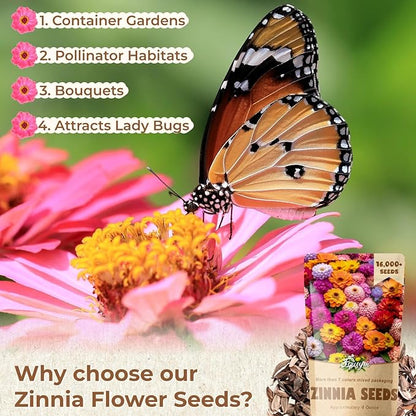 16000+ Zinnia Flower Seeds for 2026-7+ Color Mix, High Germination Rate, Perfect for Gardens, Mix Zinnia Wildflower Seeds, Mixed Colors and Large Blooms, Easy to Grow, Large 4 Ounce Packet