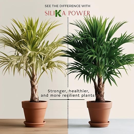 SiliKa Power – Premium Liquid Silica Plant Fertilizer and Supplement (8 oz) to Strengthen, Protect and Boost Growth