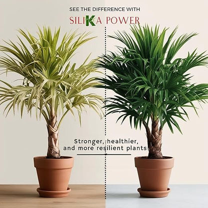 SiliKa Power – Premium Liquid Silica Plant Fertilizer and Supplement (8 oz) to Strengthen, Protect and Boost Growth