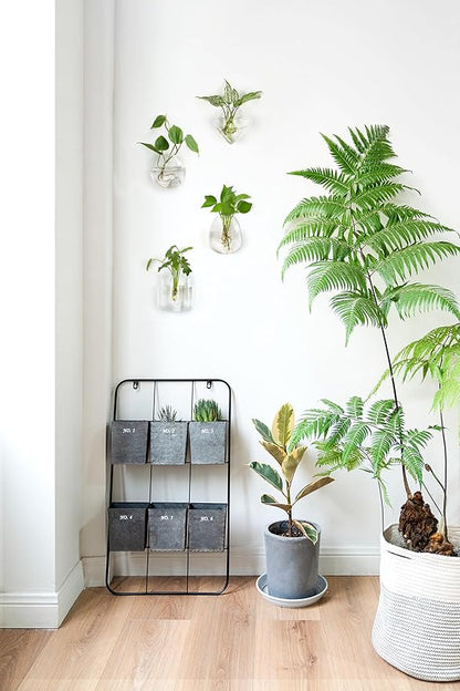 Mkono Propagation Wall Hanging Planter Glass Terrarium Flower Vases Holder for Indoor Plants, Home Living Room Office Decor Plant Lover Gifts, Set of 4