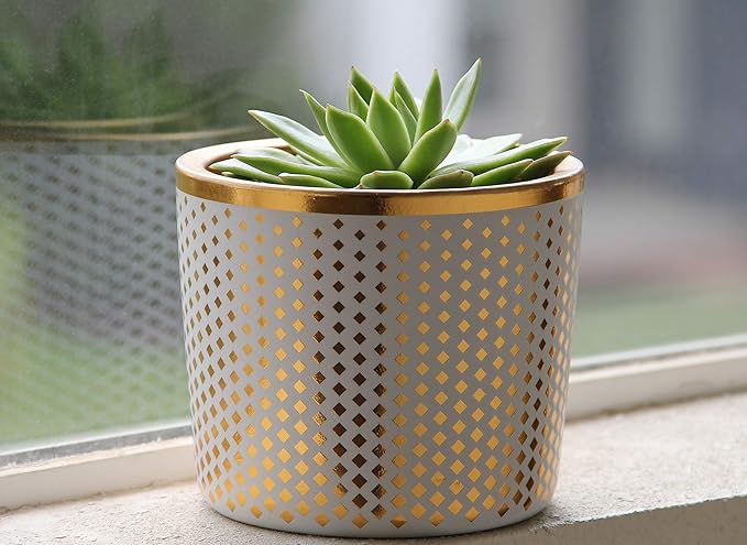 6 Inch Ceramic Plant Pot - Small White Planter with Gold Diamonds - Perfect for Succulents Like Jade & Cactus - Decorative Pebbles Included - Cute Flower Pots Indoor or Outdoor Home Décor