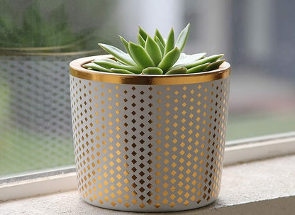 6 Inch Ceramic Plant Pot - Small White Planter with Gold Diamonds - Perfect for Succulents Like Jade & Cactus - Decorative Pebbles Included - Cute Flower Pots Indoor or Outdoor Home Décor