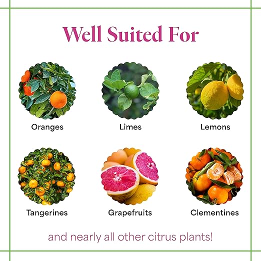 Grow More Citrus Grower Blend (1.7-0-0) - 20oz of Organic Citrus Fertilizer for Potted Trees with Chelated Micronutrient - Improves Taste, Color, & Firmness